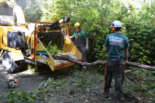 tree services Valmeyer